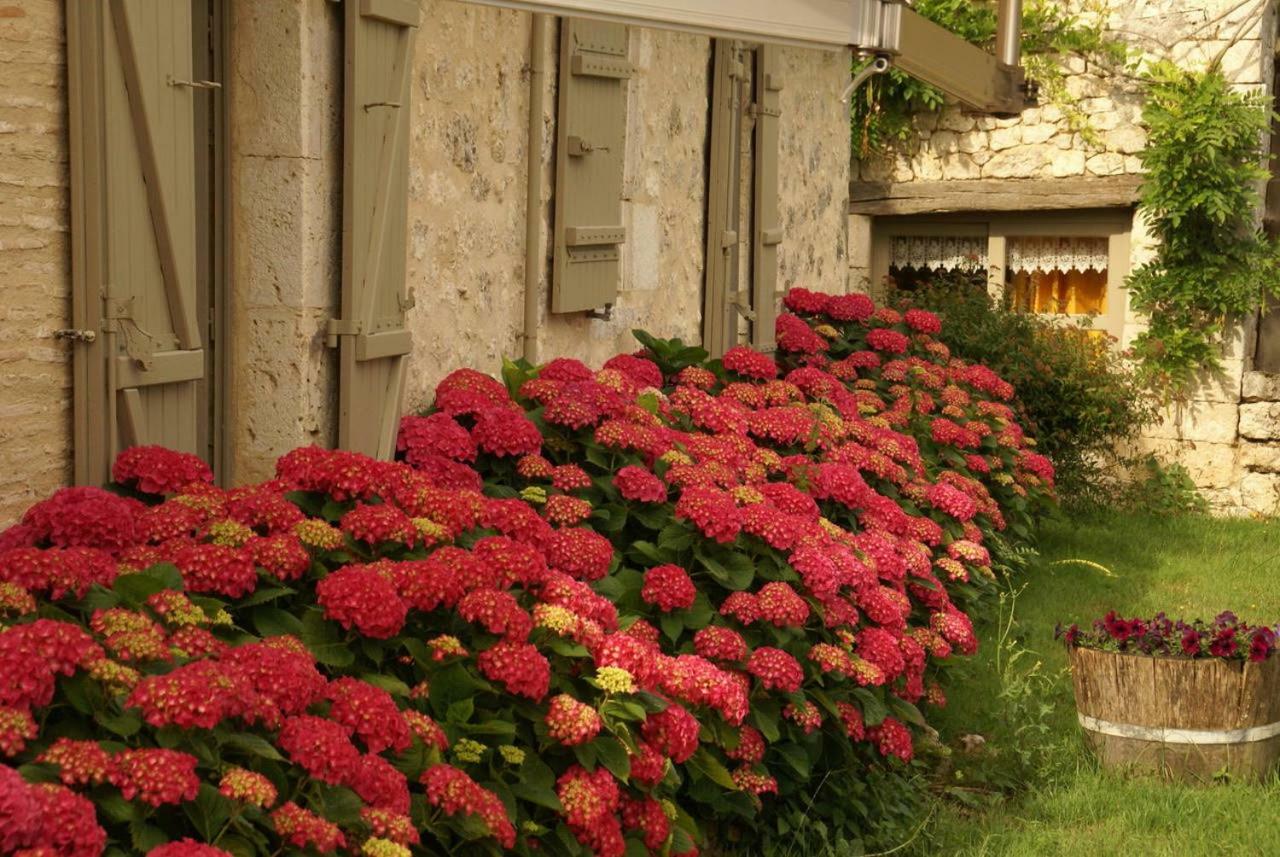 Domaine Du Merlot Sainte-Sabine-Born Exterior foto